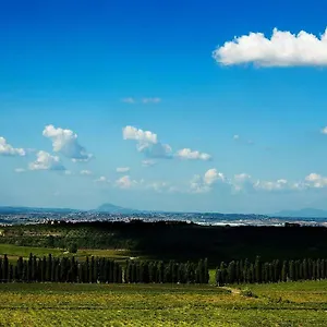 Merumalia Wine Farm stay